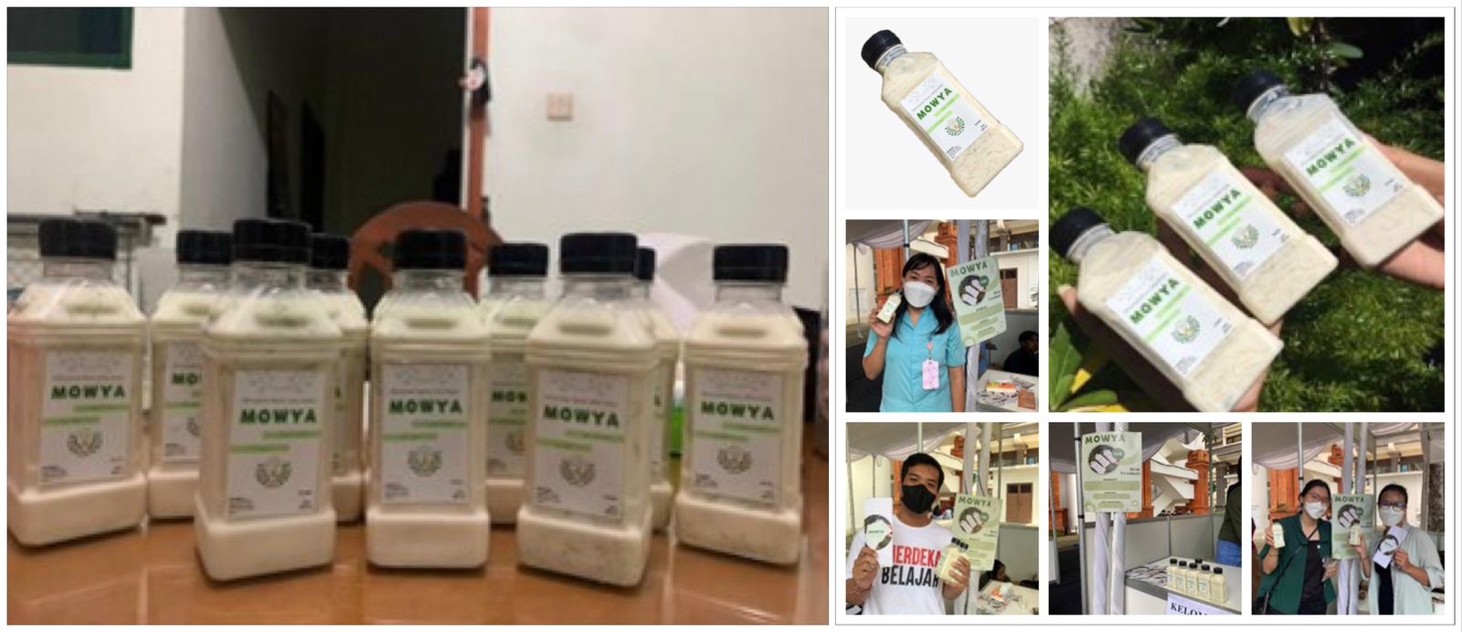 Kreatif, Mahasiswa Teknologi Pangan Kreasikan Minuman Susu Kedelai Dengan Jelly Berbahan Daun Kelor (Mowya) Sebagai Minuman Sehat Dengan Sejuta Manfaat