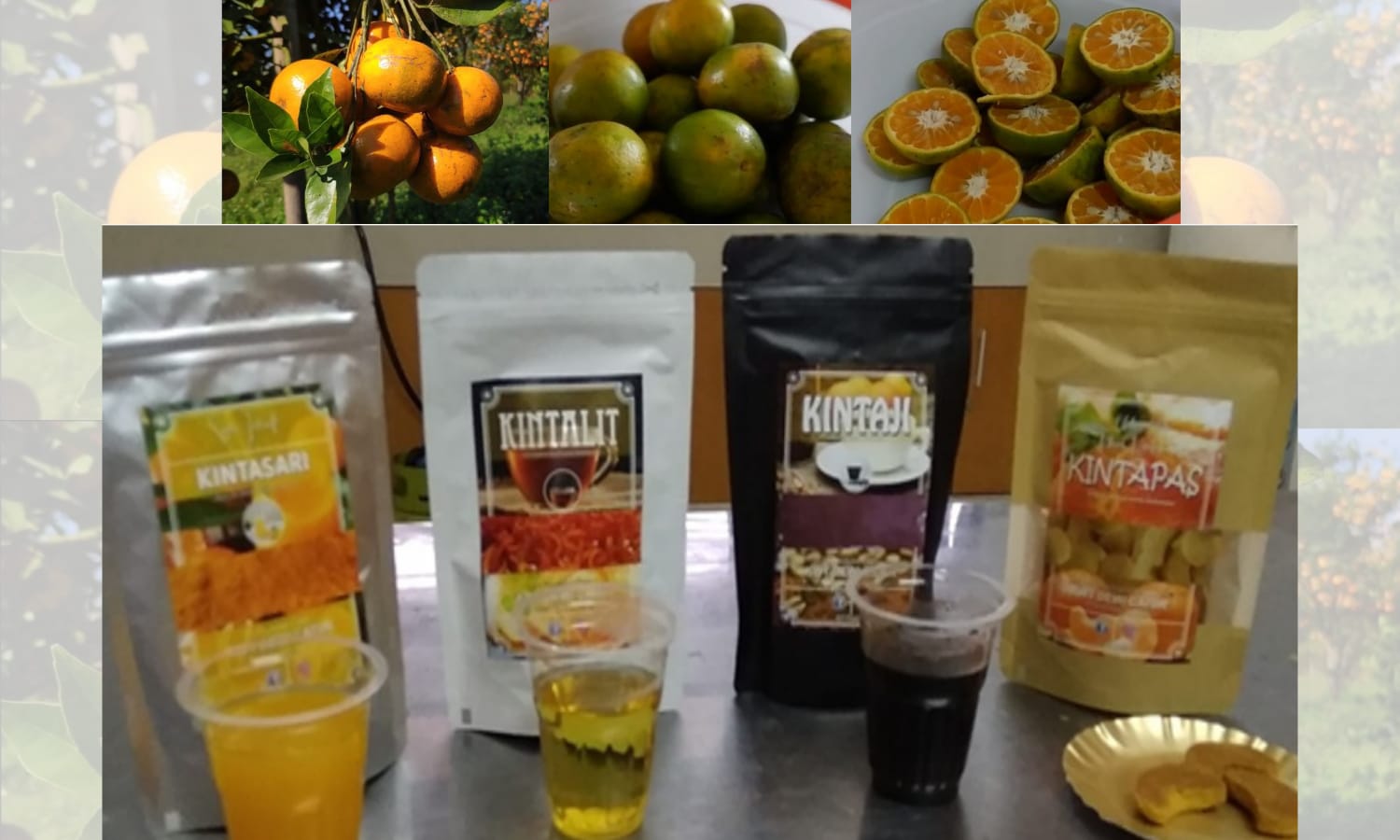 Handling Over Production During Harvest, Food Technology Study Program Unud Develops Kintamani Siamese Citrus Fruit Processing Innovation With Zero Waste Process Modeling